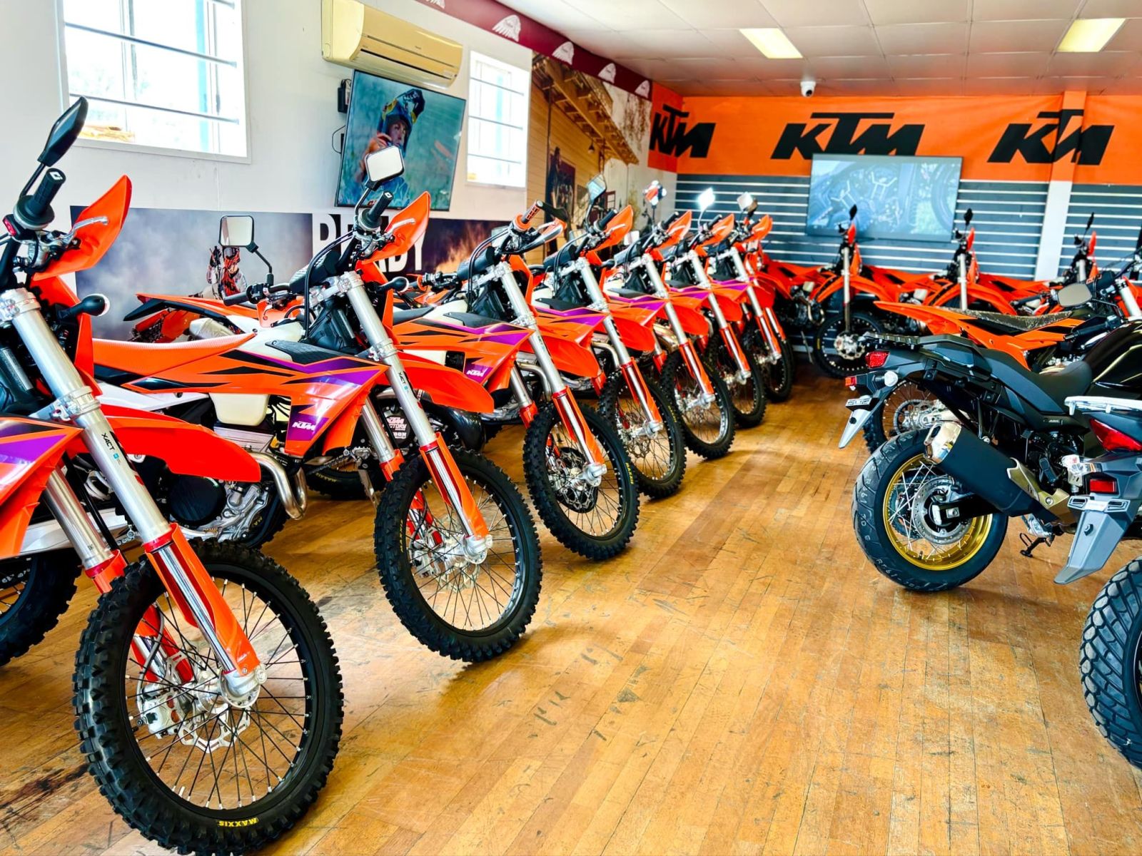 teammoto wide bay 1