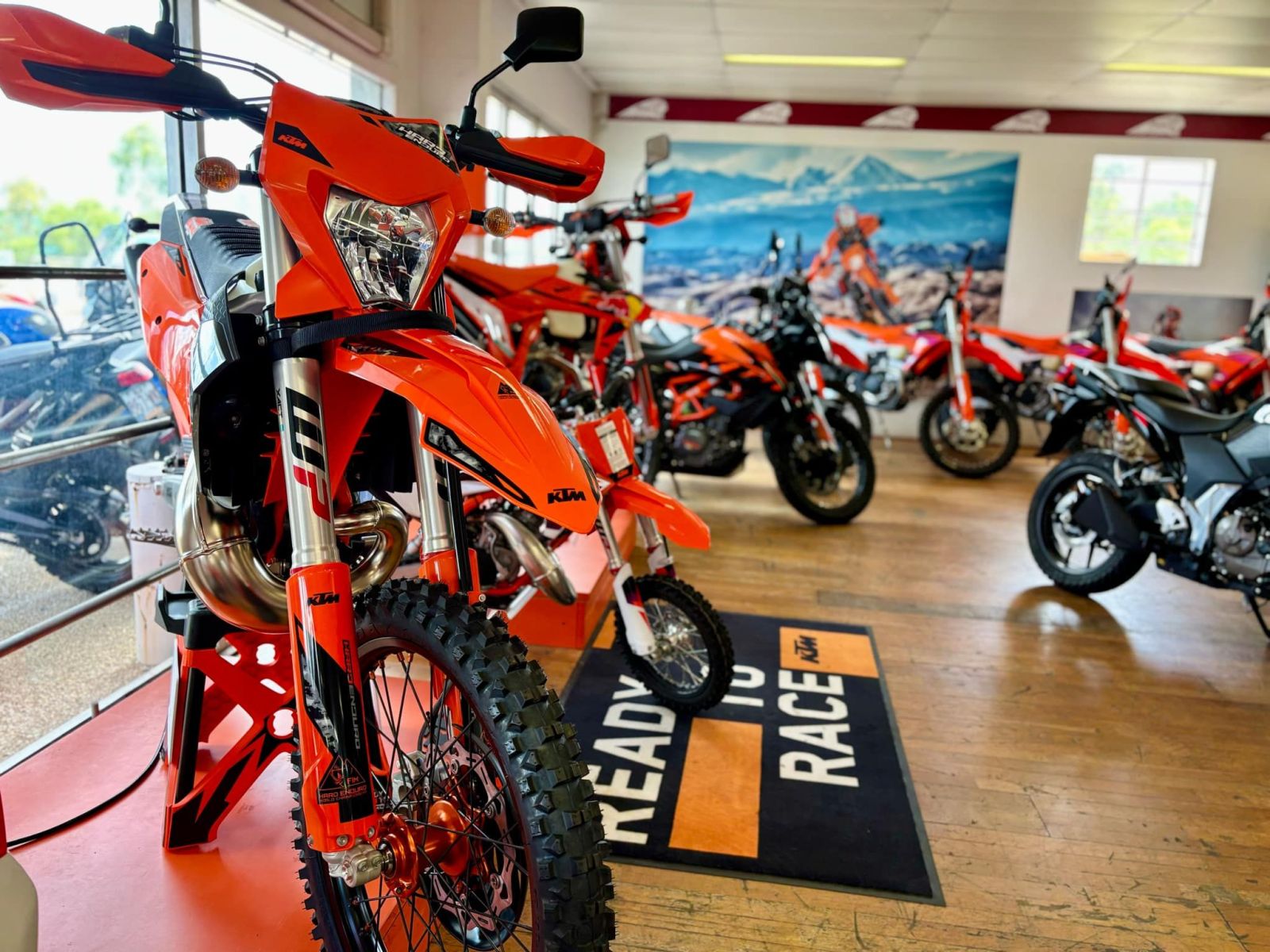 teammoto wide bay 1