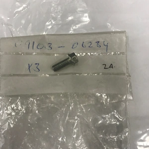 OEM  BOLT 0910306234