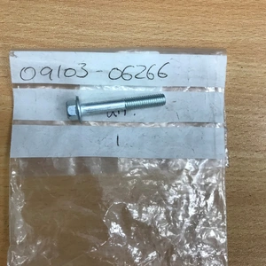 OEM CAMSHAFT HOUSING BOLT