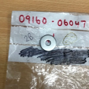 OEM WASHER 6.5X22X2  0916006047