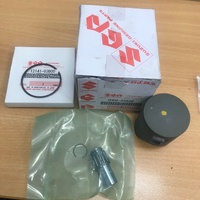 RM85 2002-23 OEM  PISTON KIT 1210003850