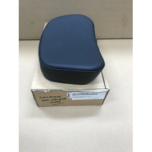 OEM Low Profile Passenger BACK REST BLACK Pad 2884620-VBA