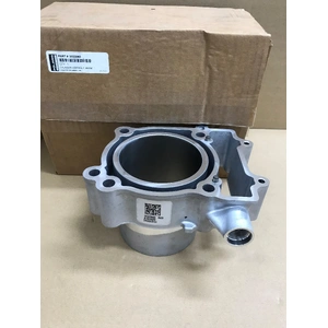 SPORTSMAN 570/ RANDER RZR57/ ACE570 OEM CYLINDER 99MM 3022860