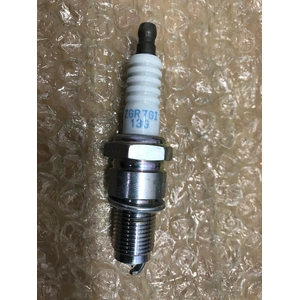 250/300EXC / GAS GAS EC250/300/ HUSQVARNA TE250/300 OEM Spark plug (55439193000)