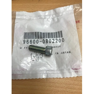OEM  SOCKET BOLT,8X22 966000802200