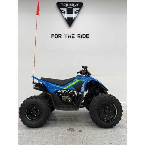 2026 Cf Moto 110CC CFORCE 110SE Petrol ATV