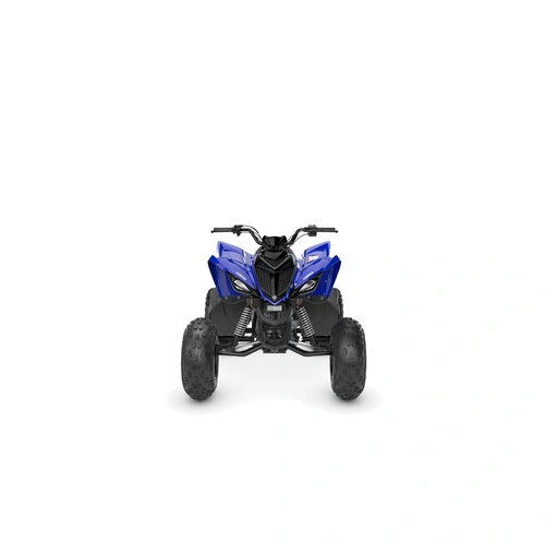 2026 Yamaha 110CC RAPTOR 110 ATV