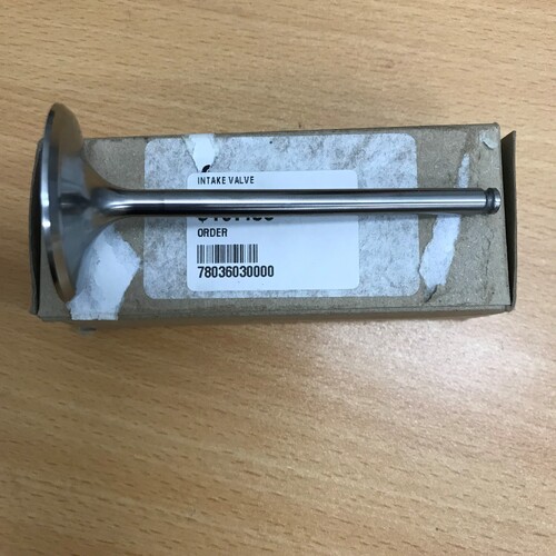 KTM 450exc 2009-13  OEM INTAKE VALVE (78036030000) - SKU:78036030000