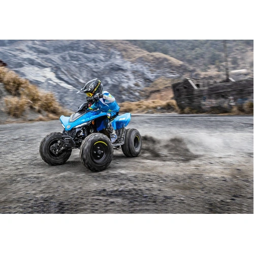 2025 Cf Moto 110CC C FORCE 110 ATV