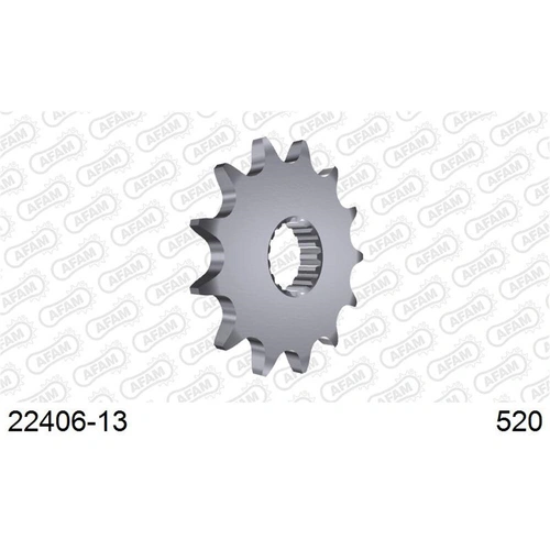 AFAM 13T 520 Rmz450 05 -