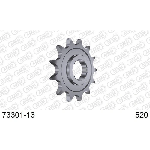 AFAM 13T 520 Ktm All 1980 -