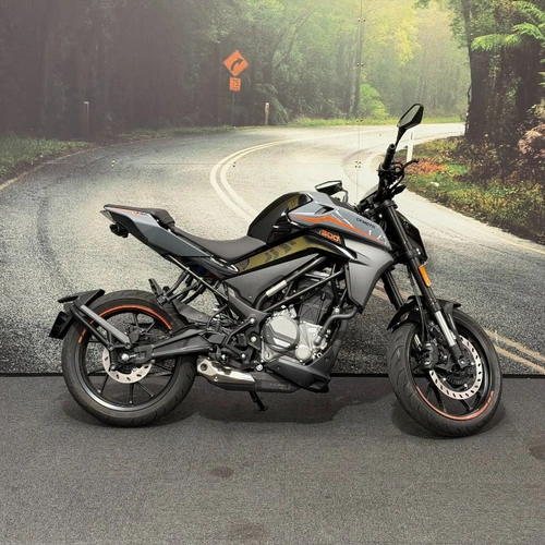 2025 Cf Moto 300CC 300 NK ABS ROAD
