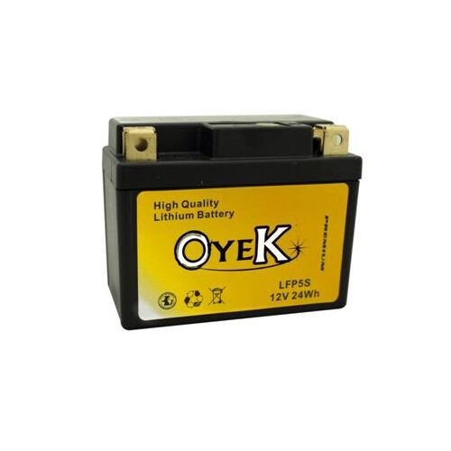Oyek Premium Lithium Batteries - LFP01  - SKU:LFP01