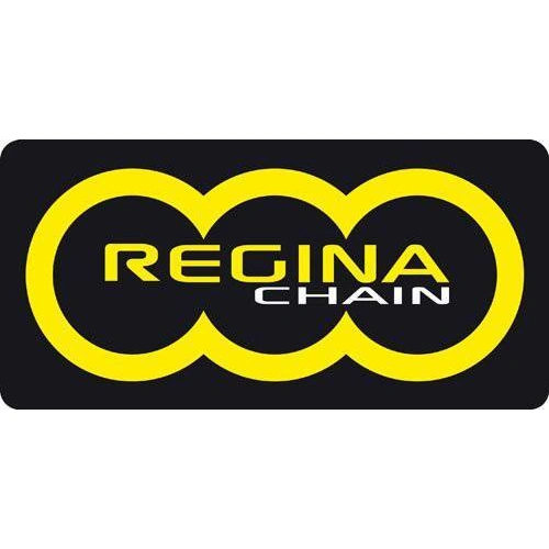 Regina Z-Ring 530ORP4 114 Link Chain