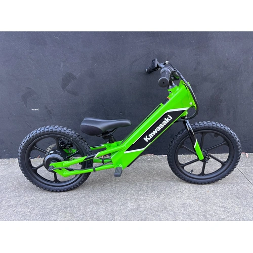 Kawasaki Elektrode 16 (KSK030ARFNN)