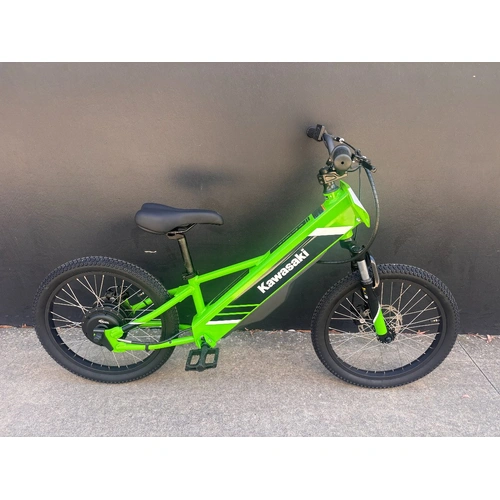 Kawasaki 2025 ELEKTRODE 20 KSK050ASFNN