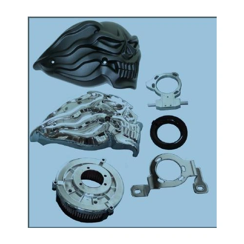 Zodiac Skull Air Cleaner Kit