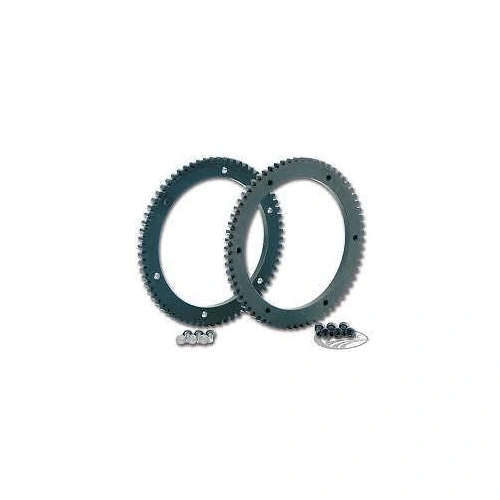 Zodiac Replacement Ring Gear 1990-1994